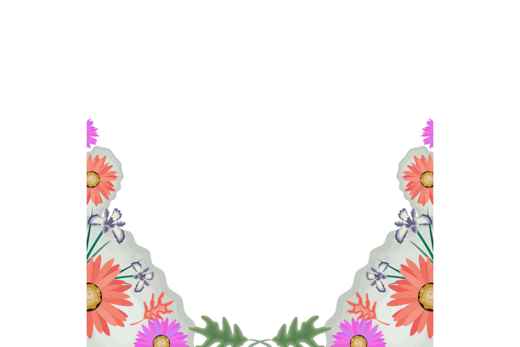 Frame Vector Image 3