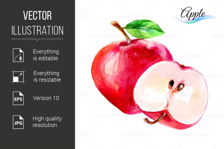 Apple Vector Image 7