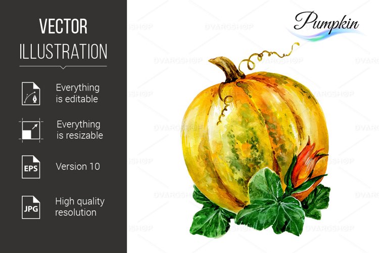 Pumpkin Background Image 3