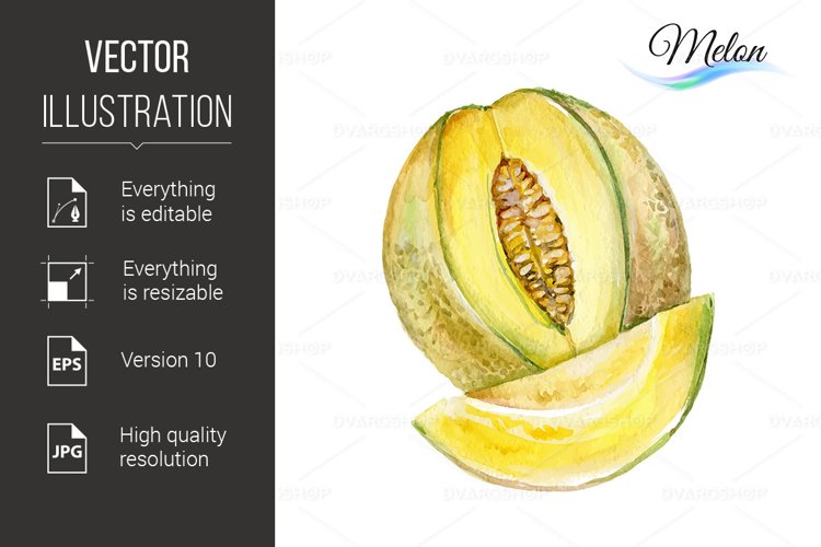 Fruit Illustration Image 4