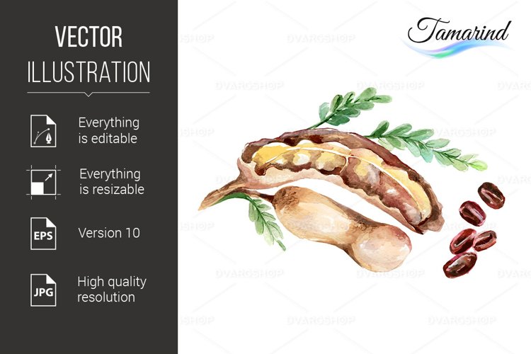 Seed Clipart Image 4
