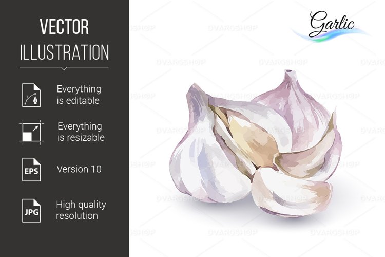 Garlic Clipart Image 3