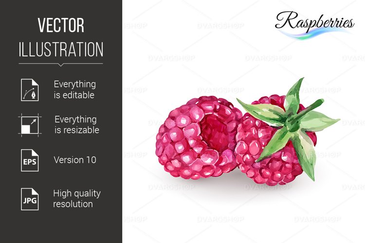 Raspberry Clipart Image 2