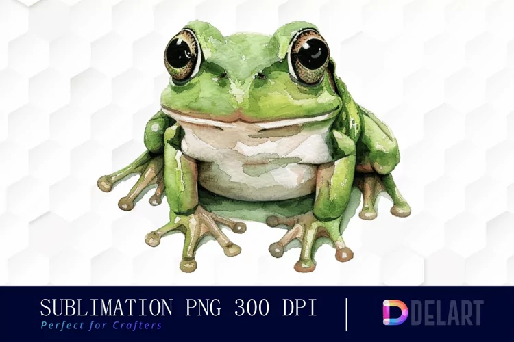 Funny and Cute Frog Watercolor Clipart