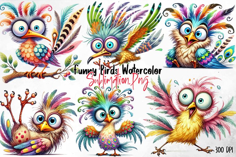 Watercolor Funny Birds Sublimation