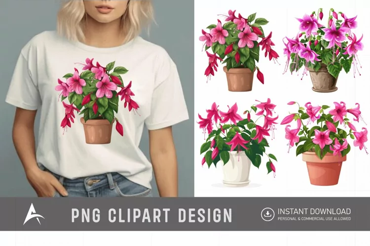 Watercolor Fuchsia Flowers in Pots Clipart