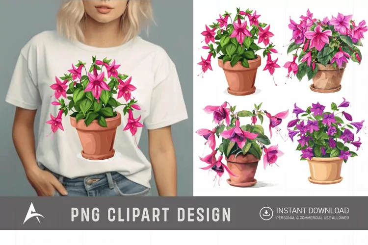 Watercolor Fuchsia Flowers in Pots Clipart