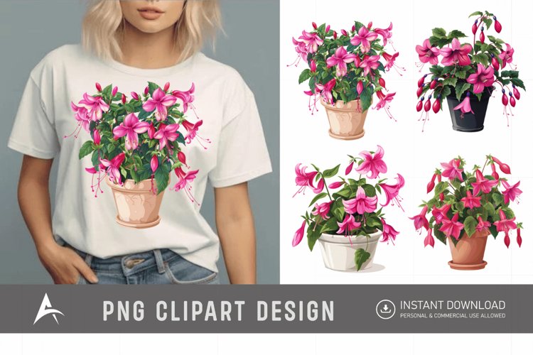Watercolor Fuchsia Flowers in Pots Clipart
