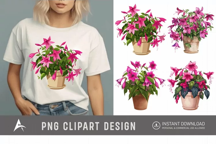 Watercolor Fuchsia Flowers in Pots Clipart
