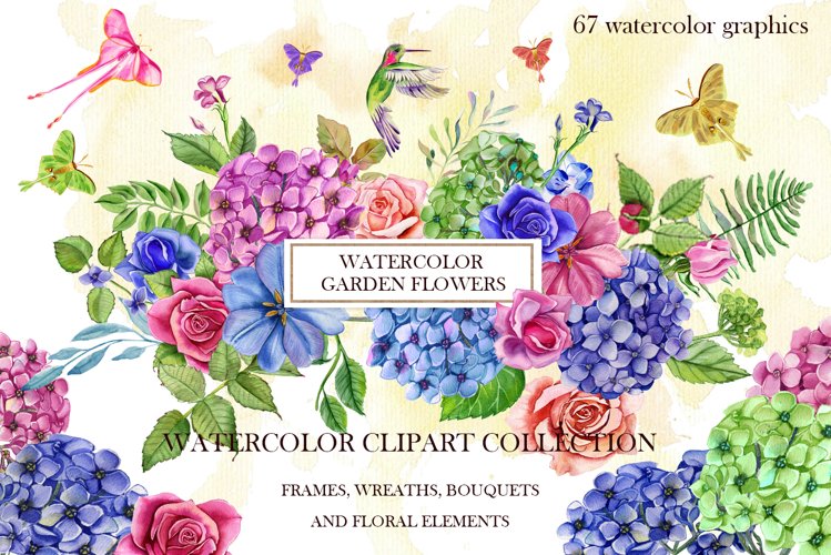 Hydrangea Png Image 22