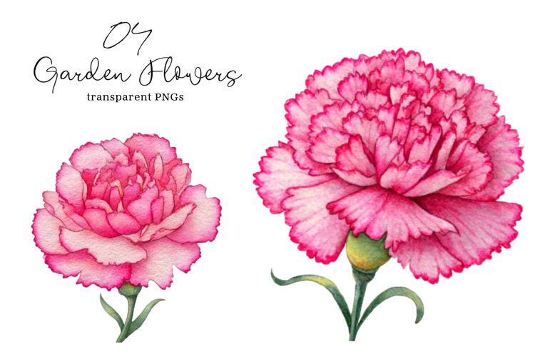 Watercolor Garden Flowers Clipart
