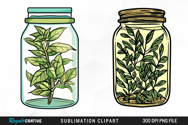 Watercolor Garden Thorns In A Jar Art Clipart