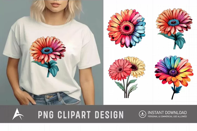 Watercolor Gerbera Flowers Clipart