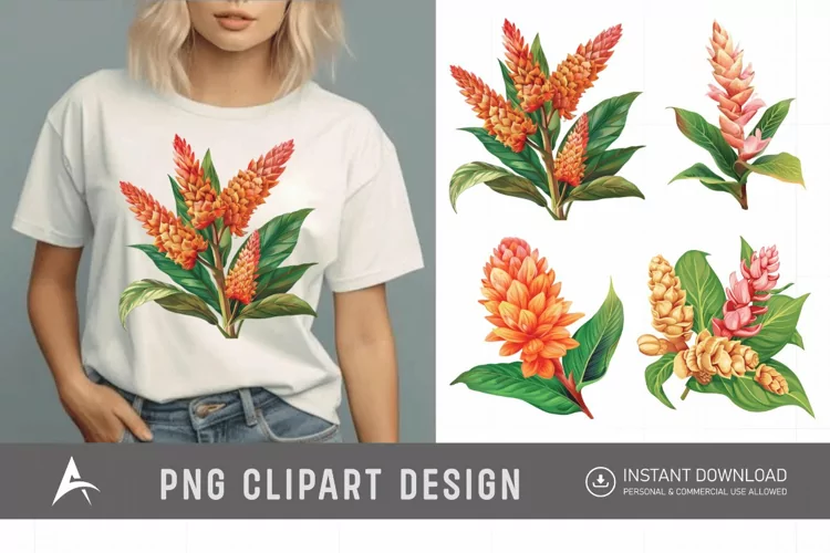 Watercolor Ginger Flower Plant Clipart