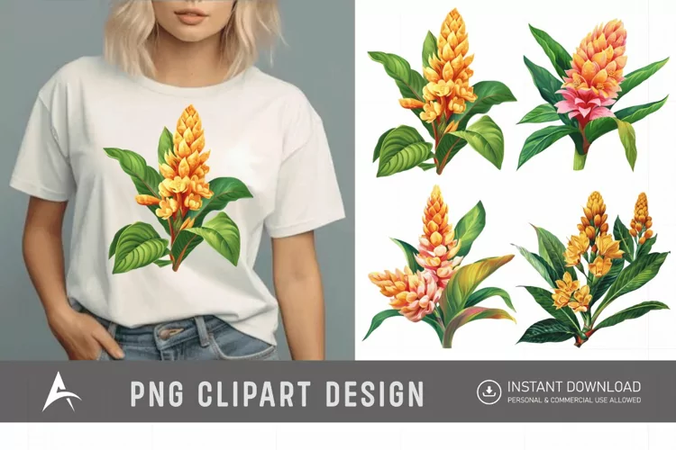Watercolor Ginger Flower Plant Clipart