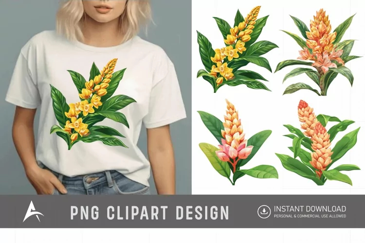 Watercolor Ginger Flower Plant Clipart