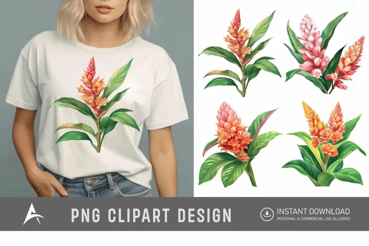 Watercolor Ginger Flower Plant Clipart
