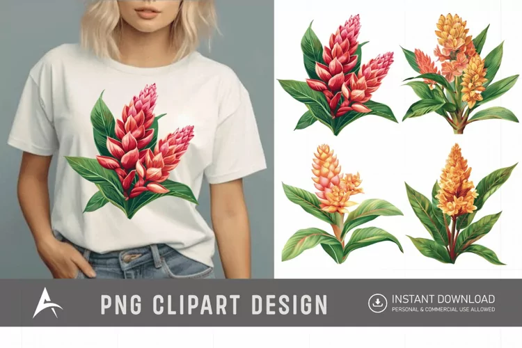 Watercolor Ginger Flower Plant Clipart