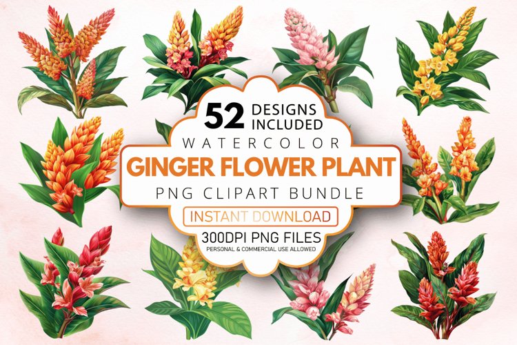 Tropical Clipart Image 14