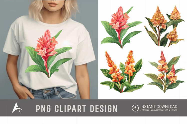 Watercolor Ginger Flower Plant Clipart