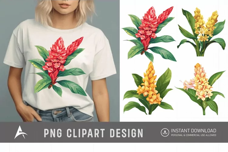 Watercolor Ginger Flower Plant Clipart