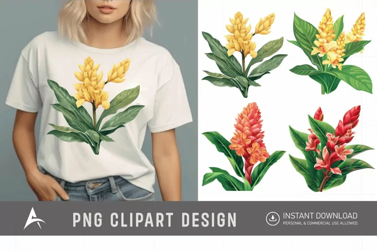 Watercolor Ginger Flower Plant Clipart