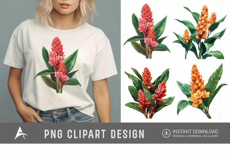 Watercolor Ginger Flower Plant Clipart