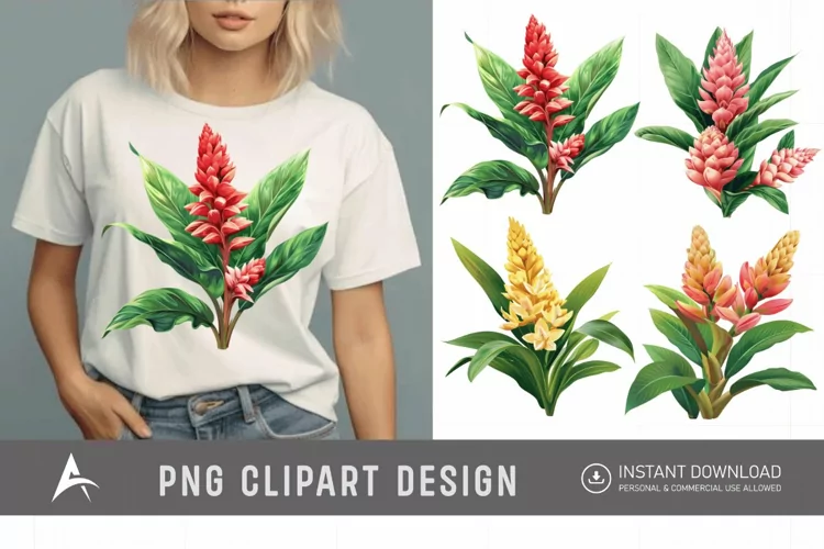 Watercolor Ginger Flower Plant Clipart