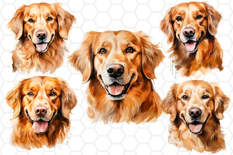 Golden Retriever Png Image 16