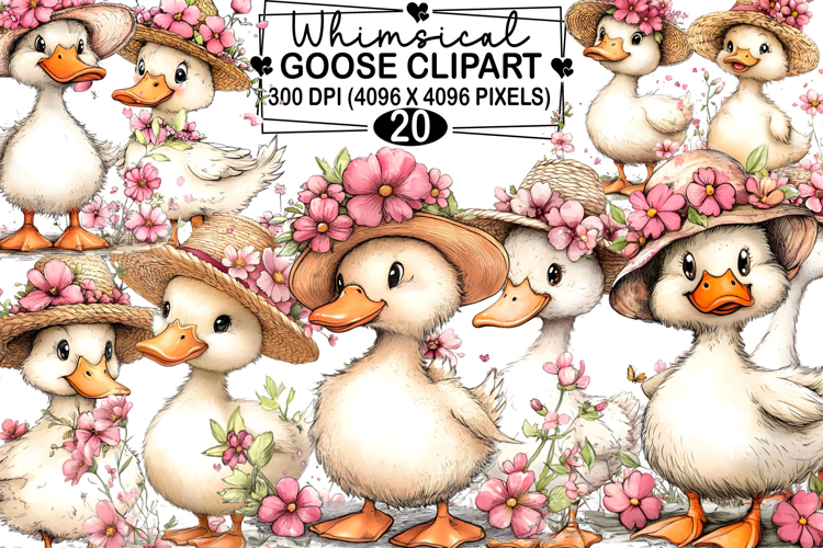 Goose Illustration Image 22