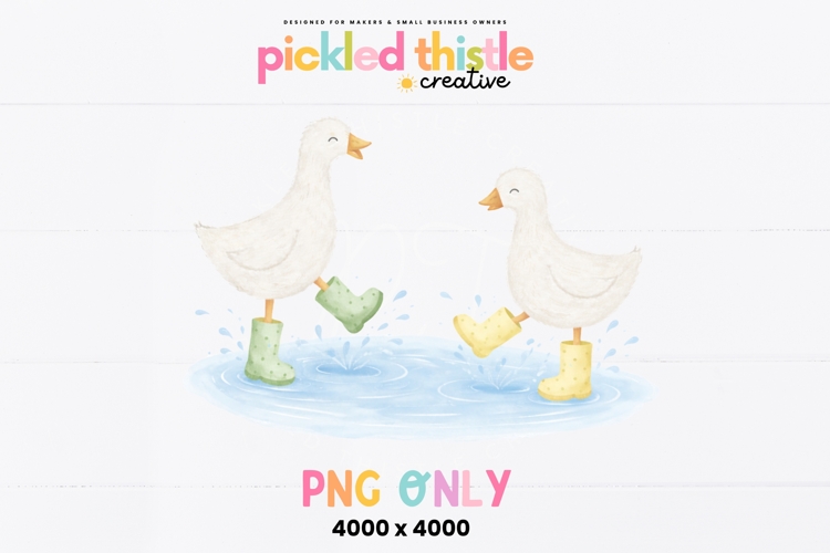 Two Geese Puddle PNG Clipart