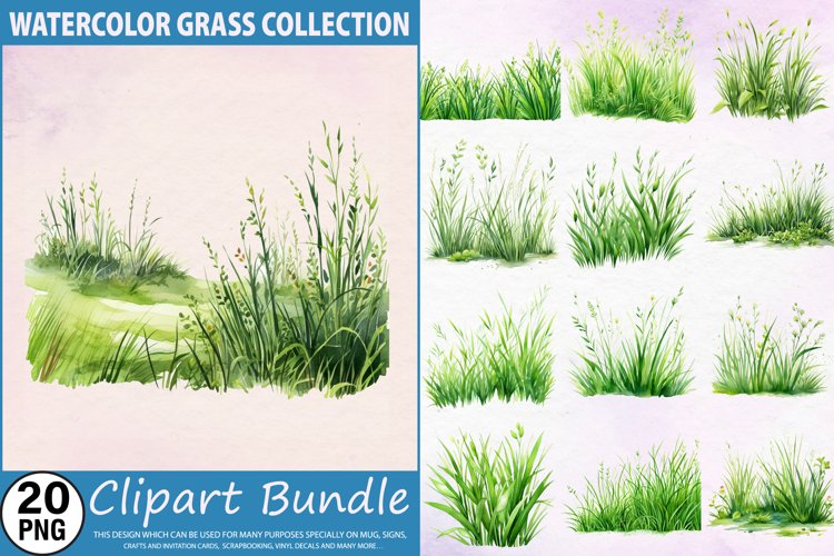 Nature Illustration Image 13