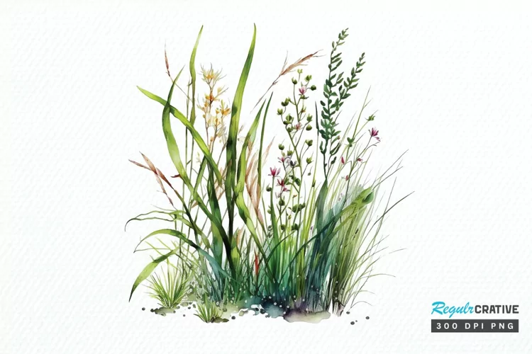 Watercolor Grass Spring Floral PNG Clipart