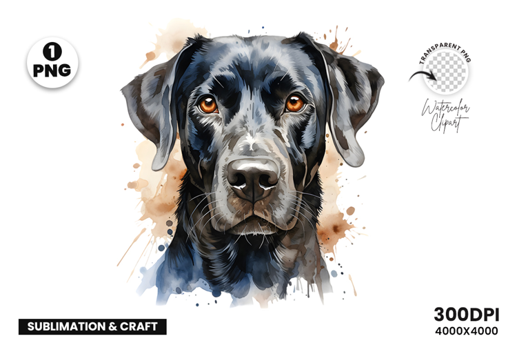 Watercolor Great Dane Dog Clipart Sublimation Design PNG