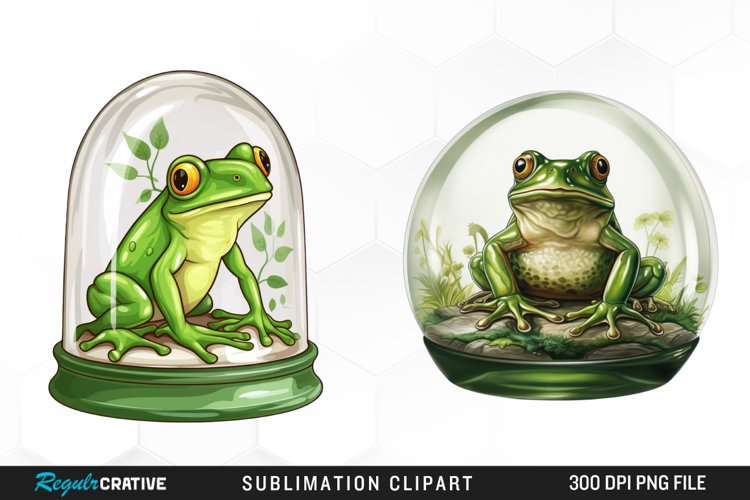 Frog Illustration Image 14