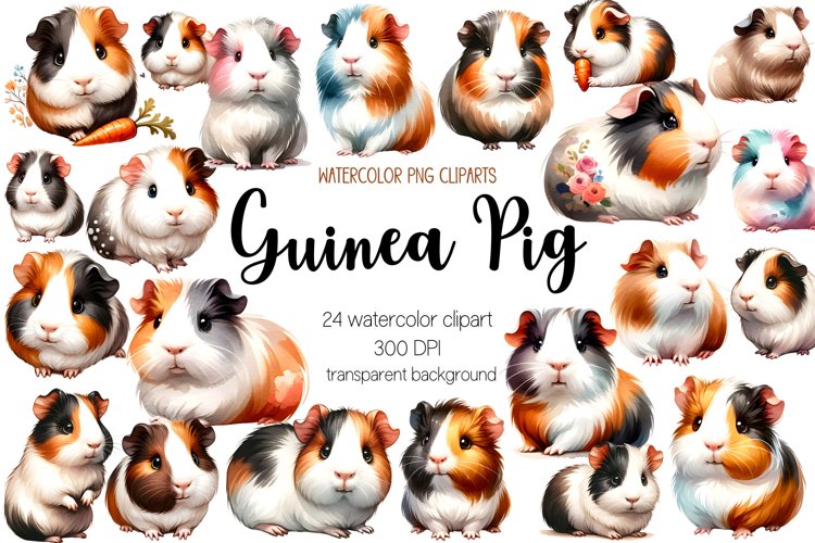 Watercolor Guinea pig Clipart Bundle, Transparent PNG