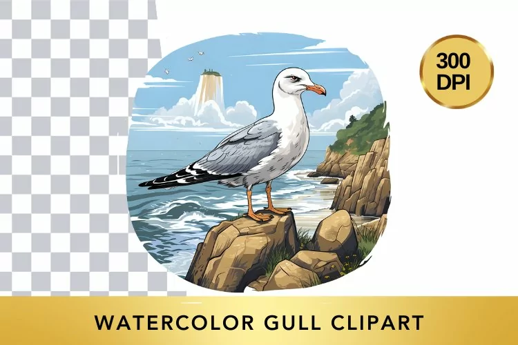 Watercolor Gull Clipart , Animal Sublimation PNG