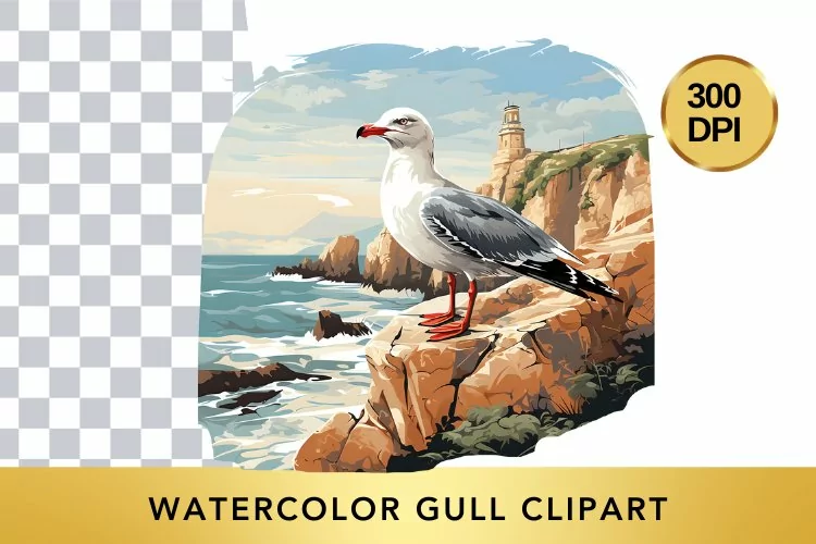 Watercolor Gull Clipart , Animal Sublimation PNG