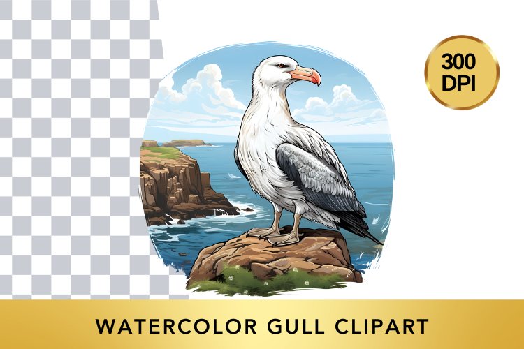 Watercolor Gull Clipart , Animal Sublimation PNG