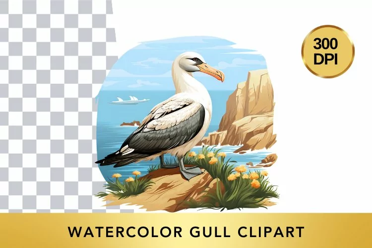 Watercolor Gull Clipart , Animal Sublimation PNG