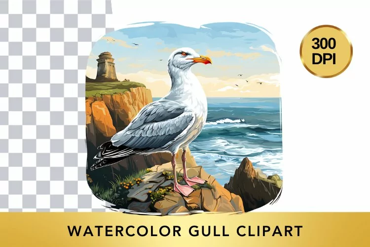 Watercolor Gull Clipart , Animal Sublimation PNG