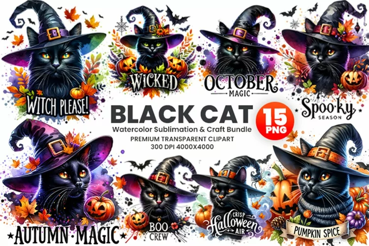 Watercolor Halloween Fall Spooky Black Cat Witch Clipart PNG