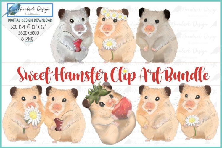 Sweet Hamster Clip Art PNG