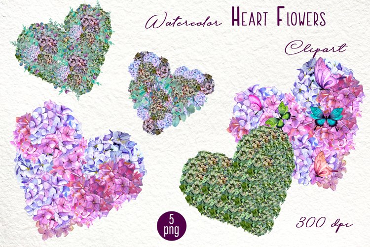 Hydrangea Png Image 15