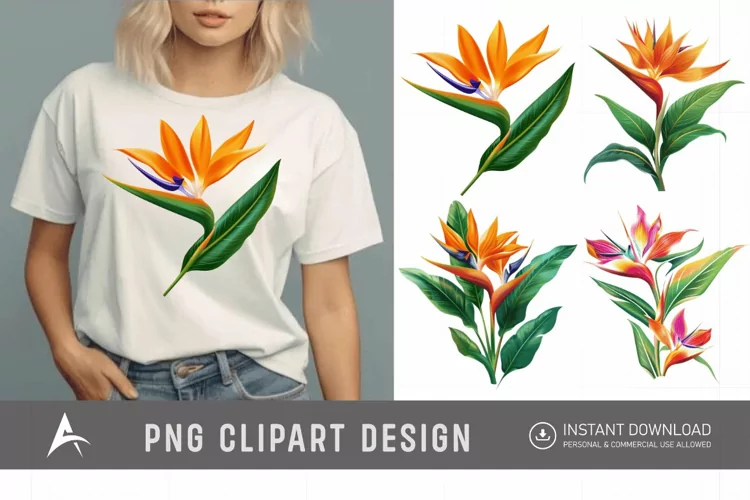 Watercolor Heliconia Flower Plant Clipart