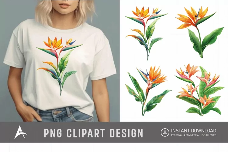 Watercolor Heliconia Flower Plant Clipart