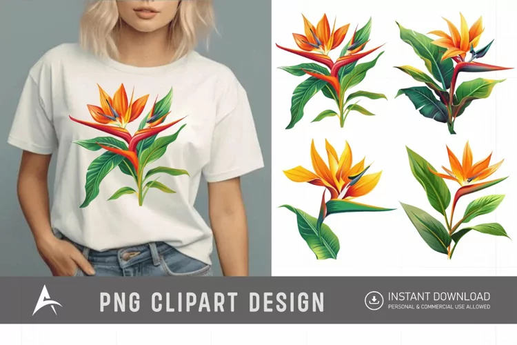 Watercolor Heliconia Flower Plant Clipart
