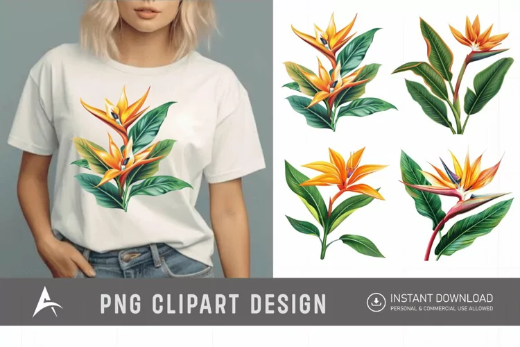 Watercolor Heliconia Flower Plant Clipart