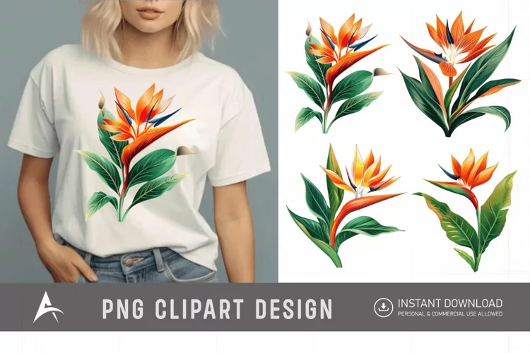 Watercolor Heliconia Flower Plant Clipart