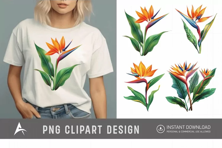Watercolor Heliconia Flower Plant Clipart